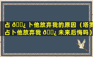 占 🌿 卜他放弃我的原因（塔罗占卜他放弃我 🌿 未来后悔吗）